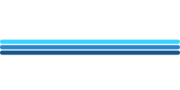 Blue Line IT Systems Logo